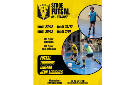 Stage Futsal durant les vacances de Noël !